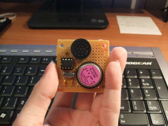 High-pitched nuisance device